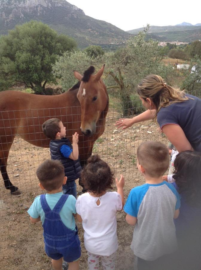 Agriturismo Funtan'Arva Loculi Dış mekan fotoğraf